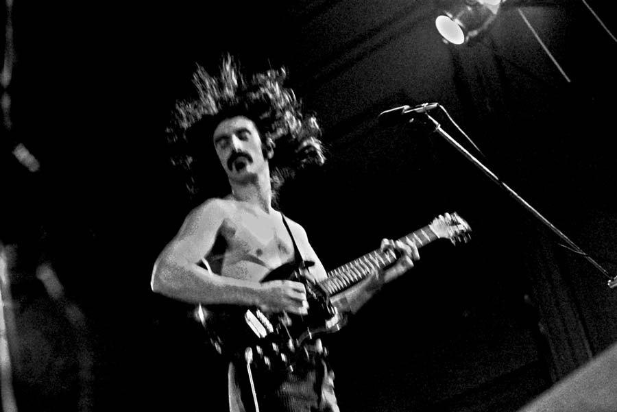 Las ratas calientes de Frank Zappa
