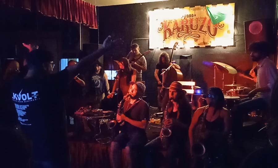 El Festival de la Zarigüeya (segunda edición)