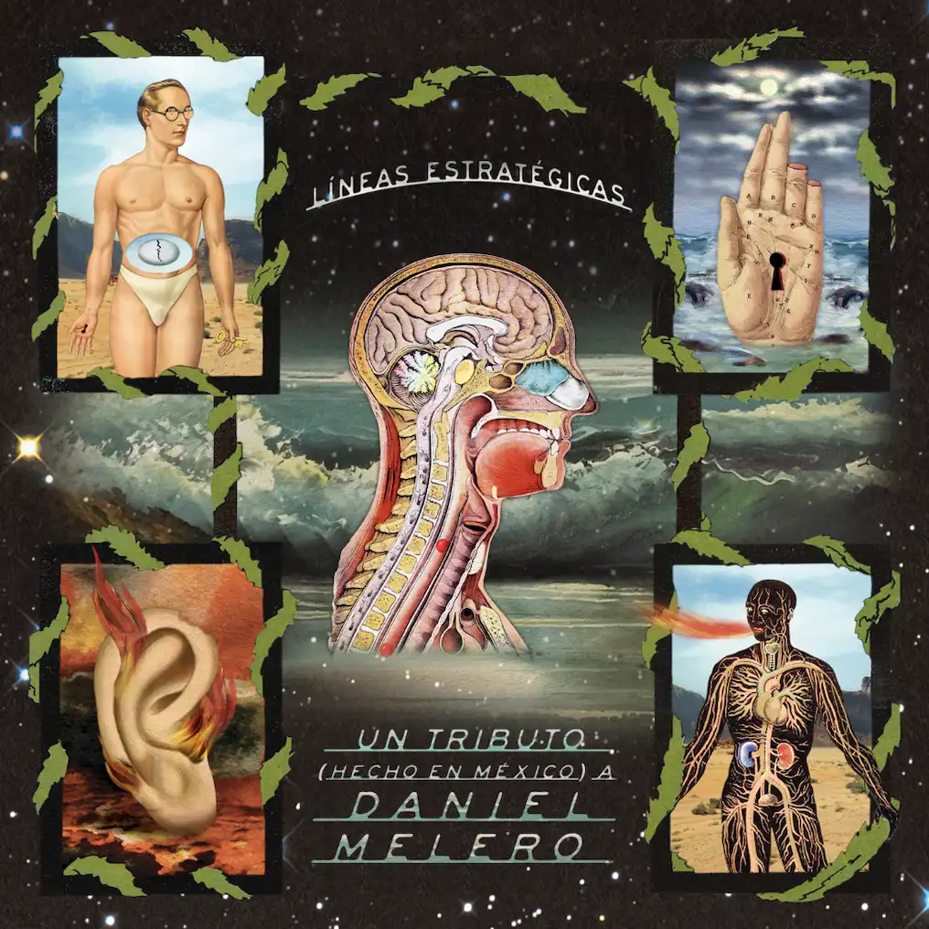 Líneas estratégicas,  un tributo a Daniel Melero