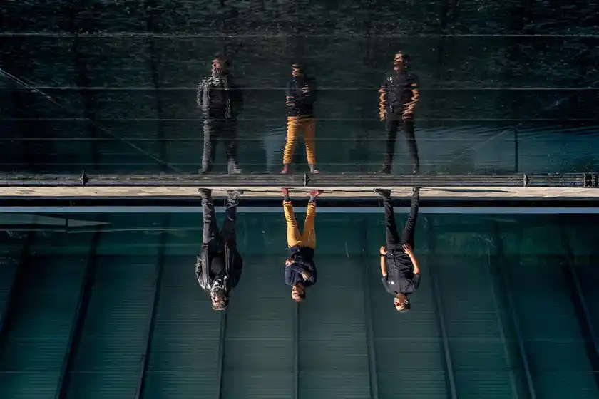 El rizoma de Luz de Riada